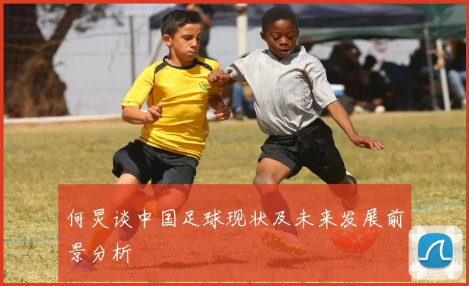 何炅谈中国足球现状及未来发展前景分析